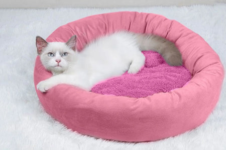 Calming Dog Beds with Pillow for Small Medium Dogs and Cats, round Dog Cuddler Cozy Bed, Washable Fluffy Plush Pet Bed Thickened Dog Kennel Mat for Puppy Sleeping