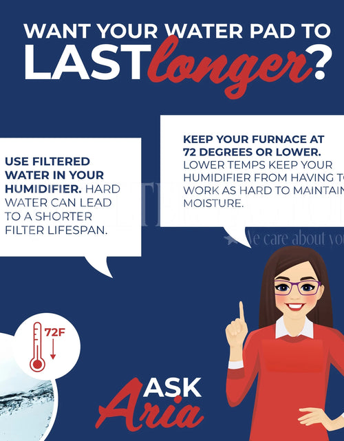 Load image into Gallery viewer, Replacement for D13C Humidifier Wick Filter 2-Pack
