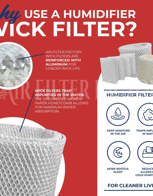 Load image into Gallery viewer, Replacement for D13C Humidifier Wick Filter 2-Pack
